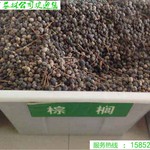 棕榈种子棕叶籽棕树籽棕榈籽绿萝棕子棕丝籽马尾败棕籽种子棕树果