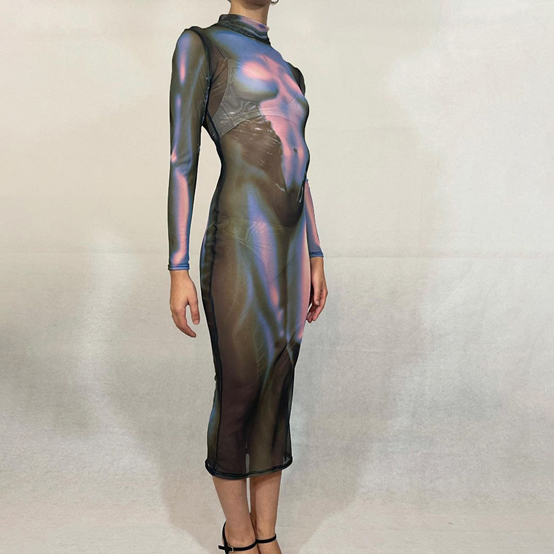 See-Through Mesh Print Long-Sleeved Slim Dress NSDLS109793