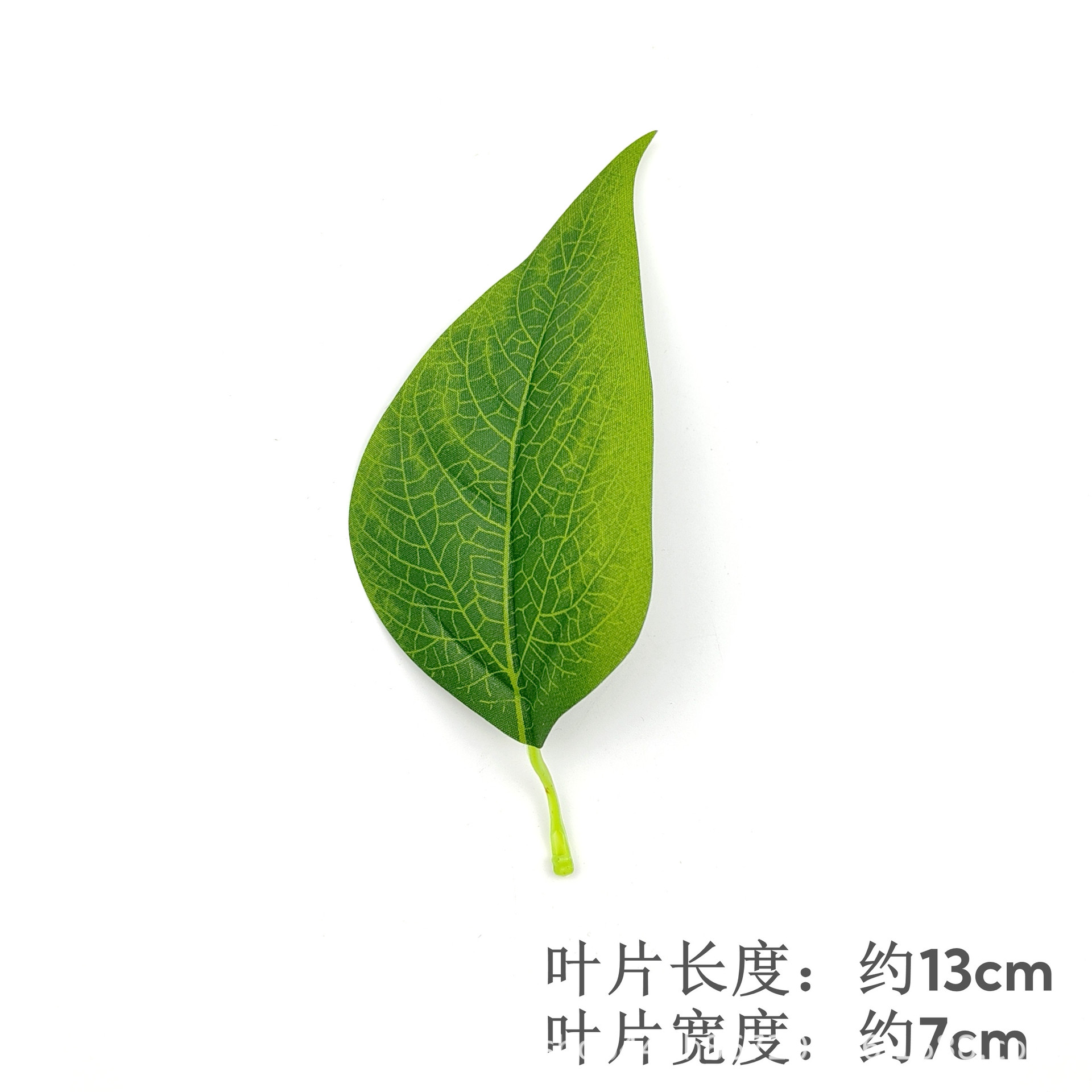 single leaf