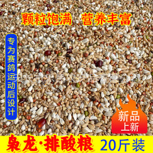 �n��  ����Z20�� �o���ןo�㶹�o���� ِ�������{�����