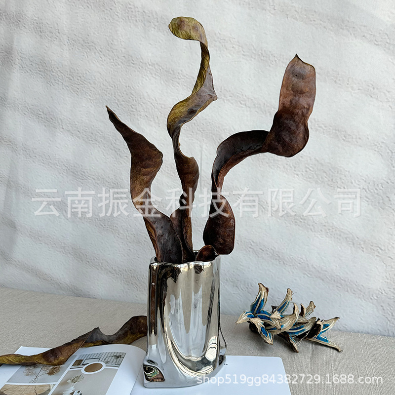 Natural Style Artistic Curly Pods Dried Flowers Plant Dried Leaves Flower Arrangement Room Decoration
