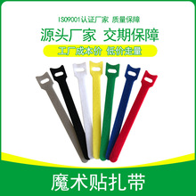 �F؛���lħ�g�N�����������������������W���ռ{��؈�^T������