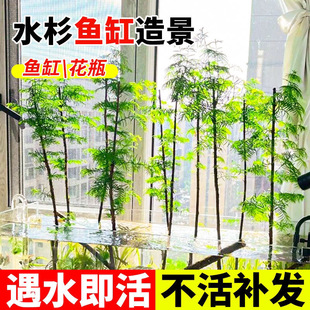 ����ˮɼ�辰�҃���ˮ����������ɼ�Ҿ����Կ͏d�����ļ�������ʽ