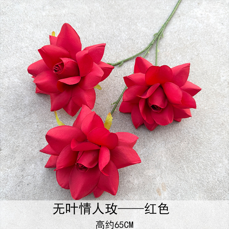 Los amantes sin leaf Rosé