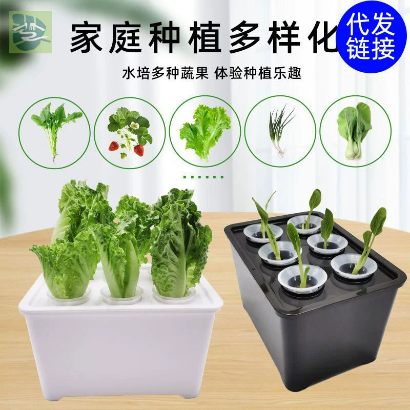 Специальная коробка для выращивания гидропонных культур Разнообразная солнечная гидропонная посуда комнатная экологически безвредная гидропонная посадка
