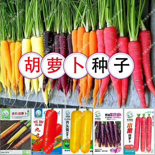 �t���}���N���R�^�S�߲˷N�ӾŴ煢ˮ����������Ϻ��}���r�ҷN��