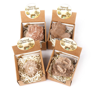 ��Ȼˮ���V�˹�ˇƷɳĮõ�廨�V��ԭʯ�ղؽ̌W�˱��Ҿ���ʯ�[��