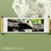 Panda 201