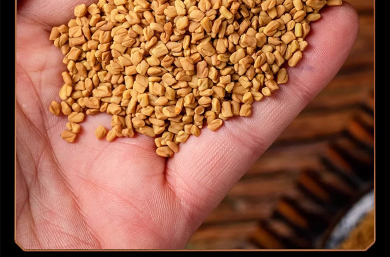 Fenugreek Seeds Hu Lu Ba 500g Dried Trigonella foenum-graecum for Decoction and Culinary Use details