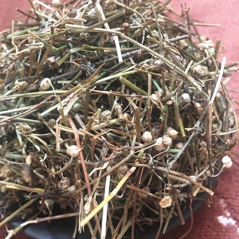 Hedyotis Diffusa Bai Hua She She Cao Dried Whole Herb 500g Traditional Chinese Herbal Tea and Decoction Ingredient key features