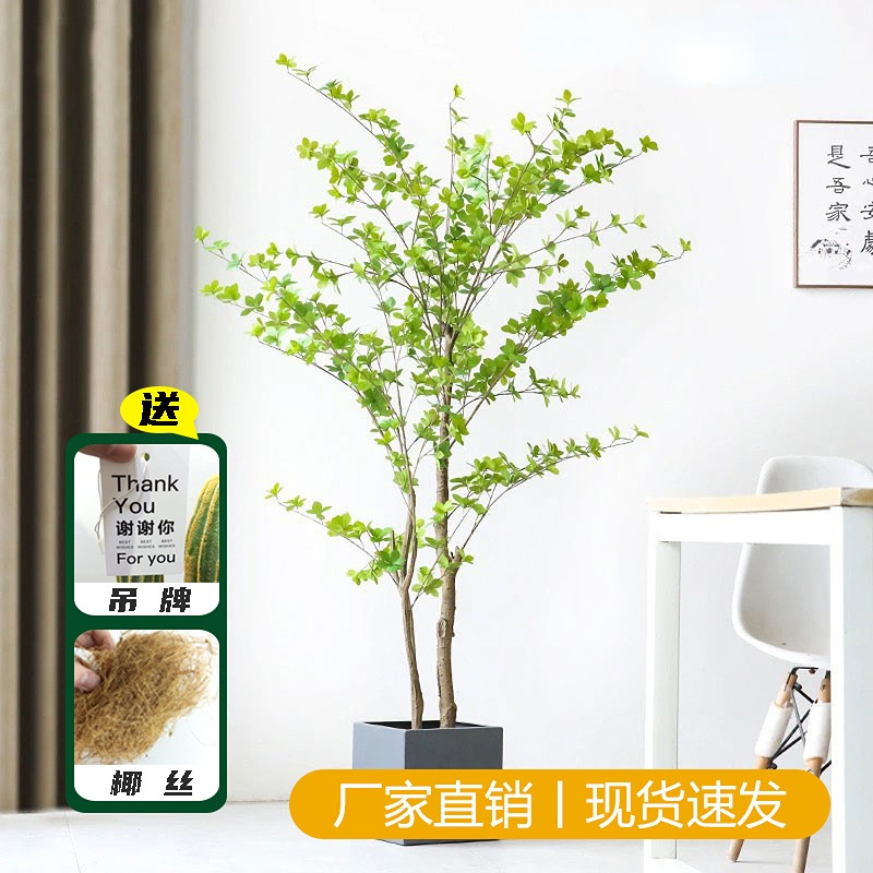 侘寂風日本吊鐘假樹盆栽仿真植物大型綠植室內裝飾擺件仿真馬醉木