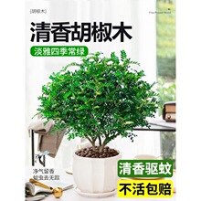 �����������ľ���Ի����҃�����ò�ֲ������Ϙ��辰������Gֲ