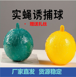 �Sɫ�Gɫ�T�x���ω���Tω�����ᘷ����ω�T���x���@����ճω��