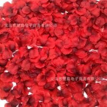 �o�����B�b1000Ƭ���� ���滨�� ��c���� �ٻ��� õ�廨��