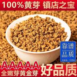 【5A全芽滇红金螺】2024特级新茶蜜香金芽浓香耐泡古树红茶