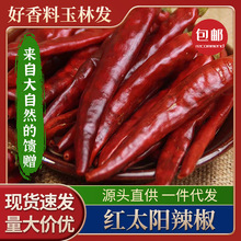 【红太阳辣椒】中辣辣椒家用干红辣椒香火锅炖卤食辣子鸡炒菜香料