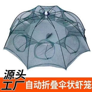 �S�����l��Ҏ���\�~�\�Ԅ��r�\�ۯB�O�W�~���~�r�W��W���~