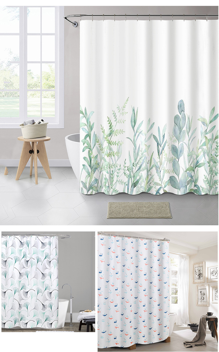 大花、银杏、仙人掌_02