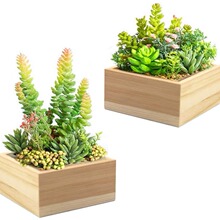 ľ�|����ֲ�ﻨ��ľ���̨΢���^����ľ���s���ռ{���辰�������l