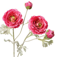 �ָб�ʪ��ëݹ ��ĵ���������Ҳ�����װ��Ʒ�Ƶ껨�ռٻ����滨