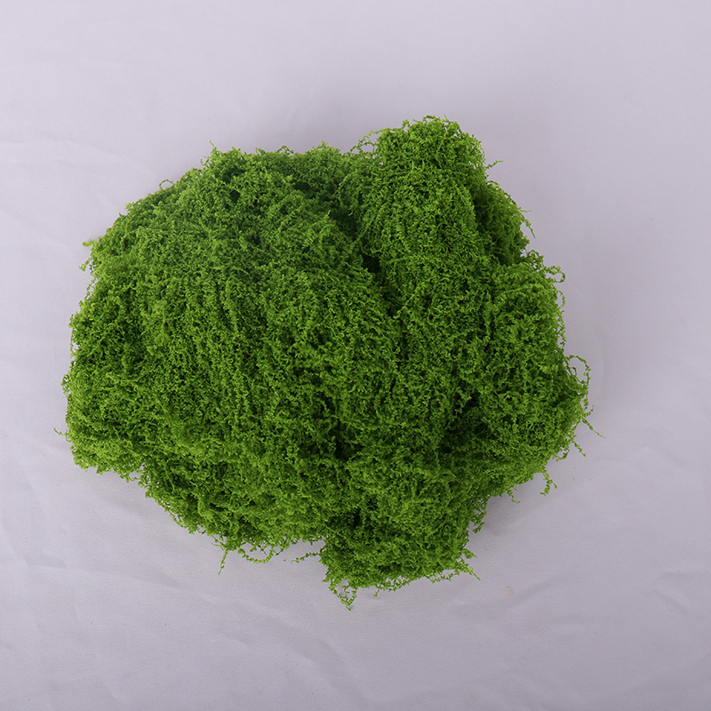 Light green filamentous plush moss