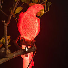 ���b�̫ꖟ��bع��@��������ƺͥԺ�e����ƺ����֬�����W