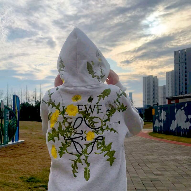 【Off-season clearance!】Hundred-stitch embroidered dandelion sweatshirt, niche high-end design, trendy hooded embroidered top