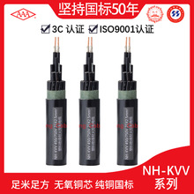 �V�|��|AAA���ͻ������|������ϩ����ܛ��|NH-KVV 450/750V