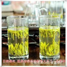 2025新茶日照绿茶批发银针茶浓香雀舌毛尖散装绿茶叶100-500g特级