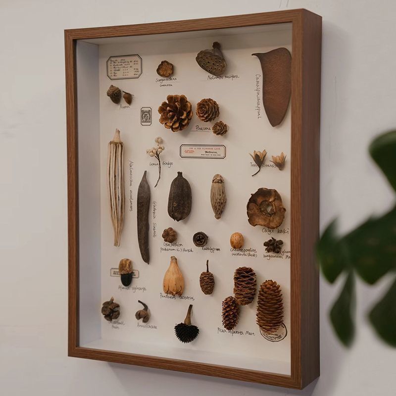 Three-Dimensional Hollow Photo Frame DIY Handmade Specimen Display Frame Animal Plant Leaves Dried Flowers and Fruits Creative Table Setting