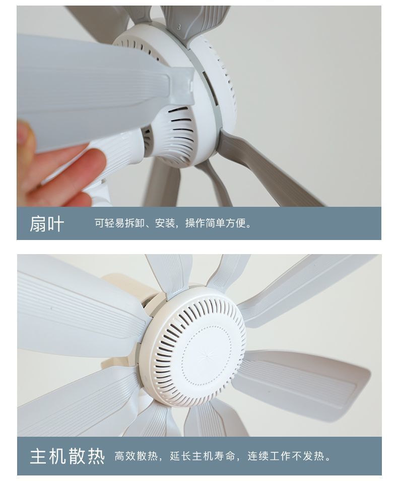 80578715-e614-486b-8bd3-b07a458ee840.jpe