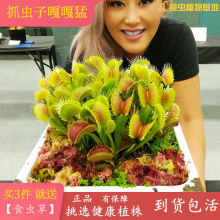 �������nωʳ��ֲ����糬��ω���ò��������x�޴�ʳ�˻����