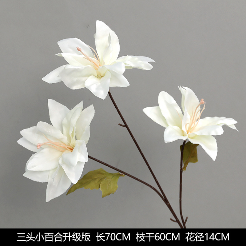 Three -headed little lily