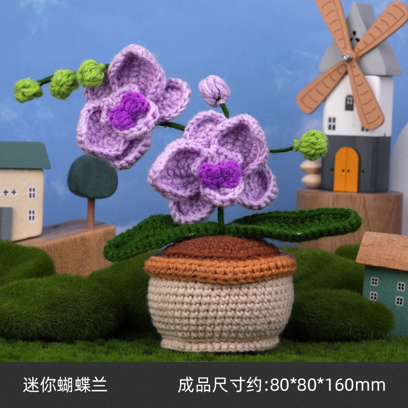 미니 호접란*영어 설명서+설명 영상*일반*26S*4*50