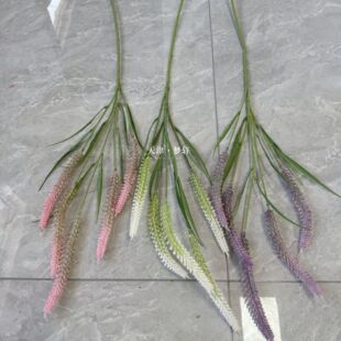 ���滨��β��ֲ�q��β���仨�Ӱ��g�b�c�����廨���÷��滨