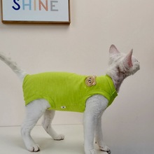 èëĽ͸С˹ҿ˹ëèѿwc