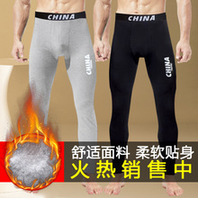男士保暖裤秋冬季加绒加厚打底裤独立装德绒秋裤男款棉裤大码批发