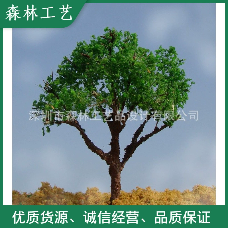 Студент Модель Учебник Модель поезда Дерево Песочный стол Модель дерева NW011