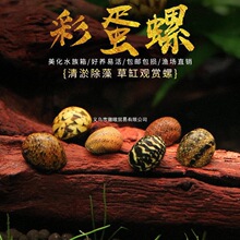 �ʵ����^�p���O�����ذ��R���w���[�ݳ��嵭ˮ�ݸ��坍������