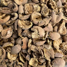 �ɲ�ș��  ë���� ë������ �X�� Ʒ�|���� ����ă�