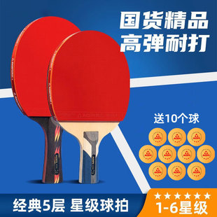 Badminton Racket Set Double Racket for Adults and Children Beginners Training Light Carbon Aluminum Racket Durable and Durable