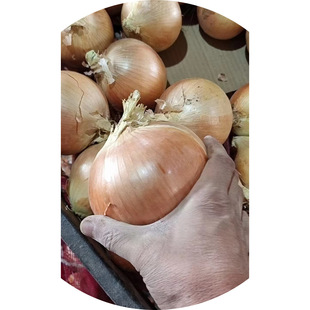 �S���[9�������ϸ��C�a��Ƥɫ�ô�ߴ�W���b�����n���ձ����[