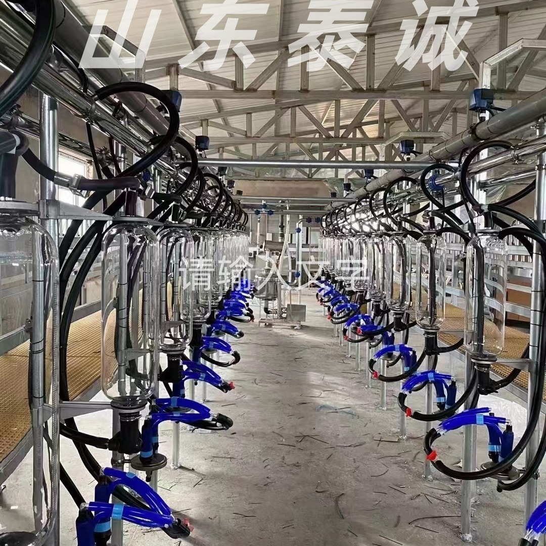 奶羊挤奶设备 自动脱落奶山羊挤奶厅（本店铺产品需详询后下单）