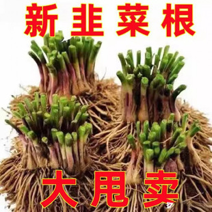��²˸��N��ʳ���w�����Ų��҃����߲˿�ʳ�����Ի������ϸ�