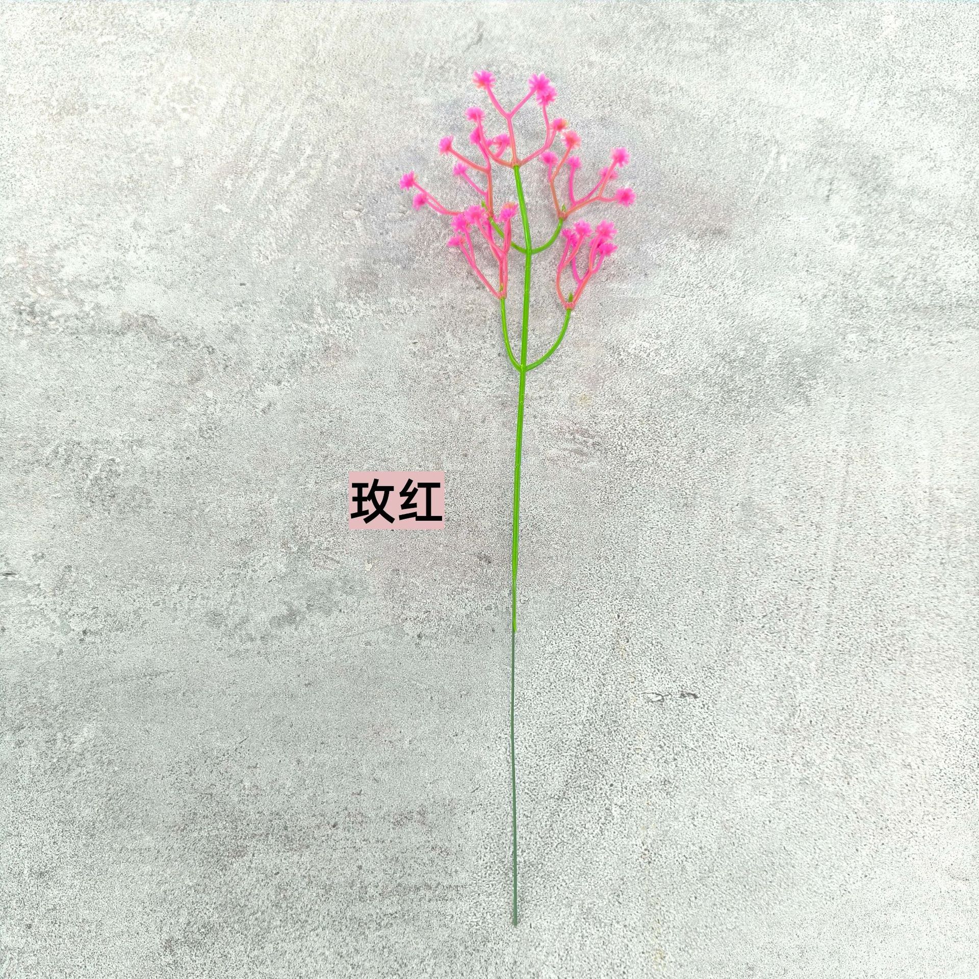 로즈 레드