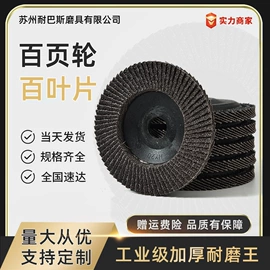 页轮、页片;磨片、切割片;抛光轮