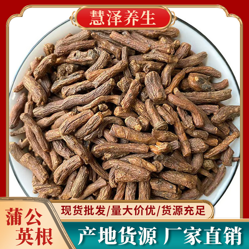 长白山蒲公英根中药材大货公英根茶婆婆丁批发根农产品加工药用