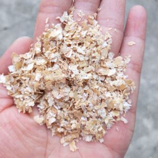 �����F؛����Ƥˮ�a����Bֳ�iţ���u���Z�ôֵ����������ԭ��