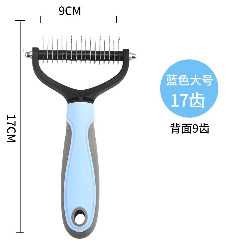 블루 라지