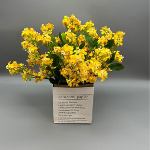 羳𻨷ǧҾӲYbzӰ߹b